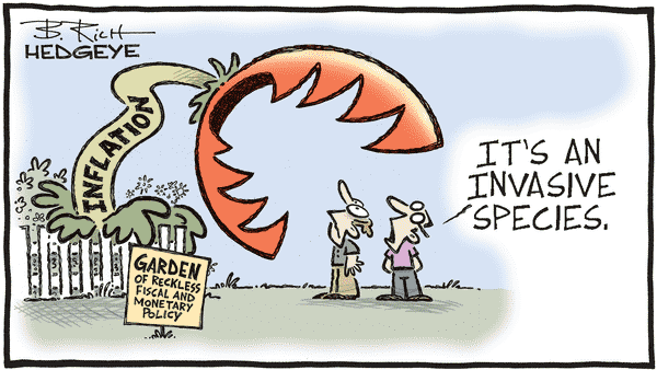 wgfs_financial-insights_cartoon_5_29_24